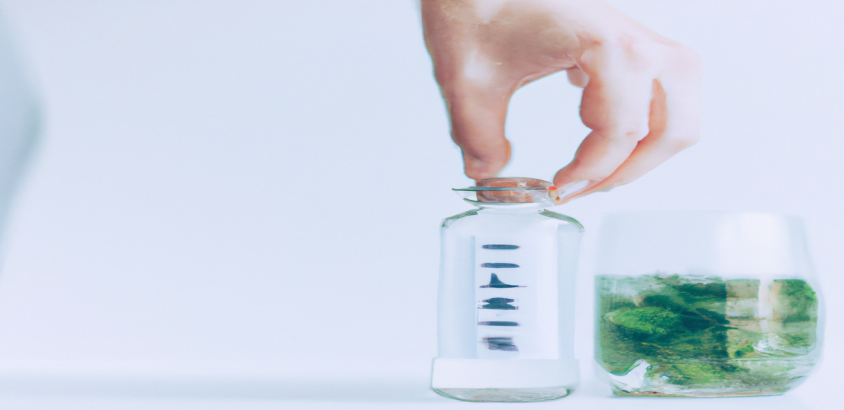 NutriNova Formule Minceur avis France 2025 : La clé pour enfin perdre du poids